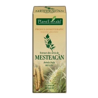Extract din Seva de Mesteacan - Betula linfa 50 ml - Plantextrakt